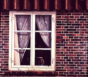 Франц Радзивилл. Окно моего соседа (1928)